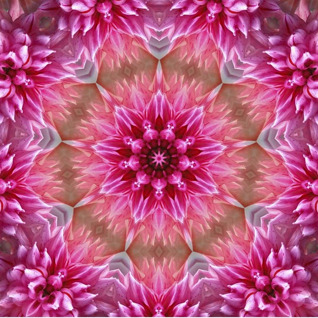 Finden Sie heraus, wie färbende Mandalas Stress reduzieren können