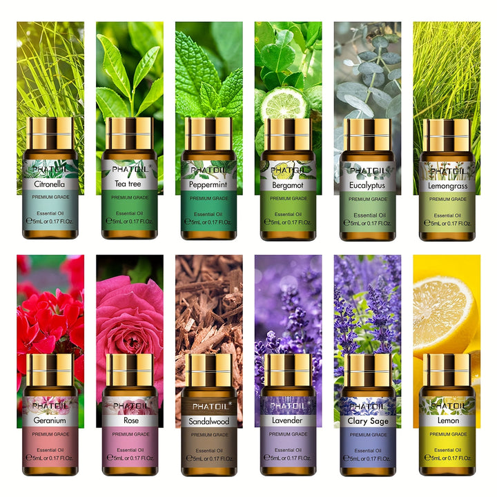 ZEN ESSENCE SET – 12 Ätherische Öle Starter Set (12 x 5ml)