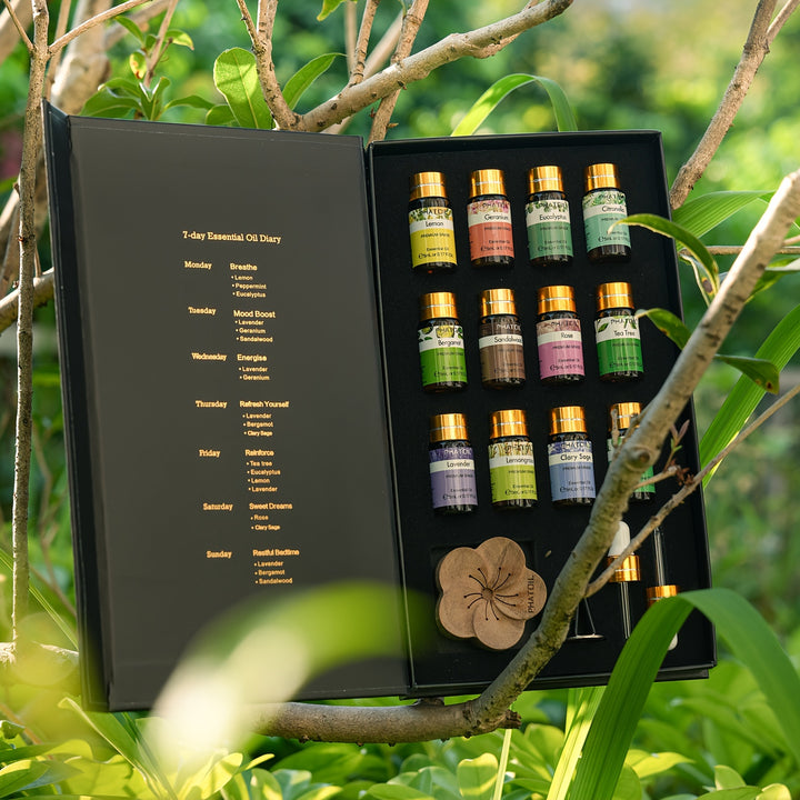 ZEN ESSENCE SET – 12 Ätherische Öle Starter Set (12 x 5ml)