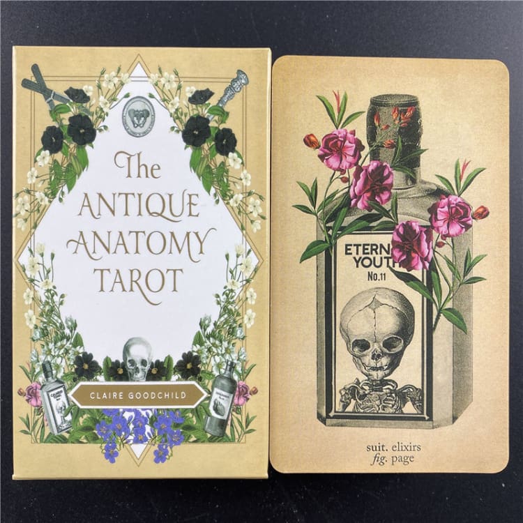 Jeu de Tarot ’Anatomie Antique’